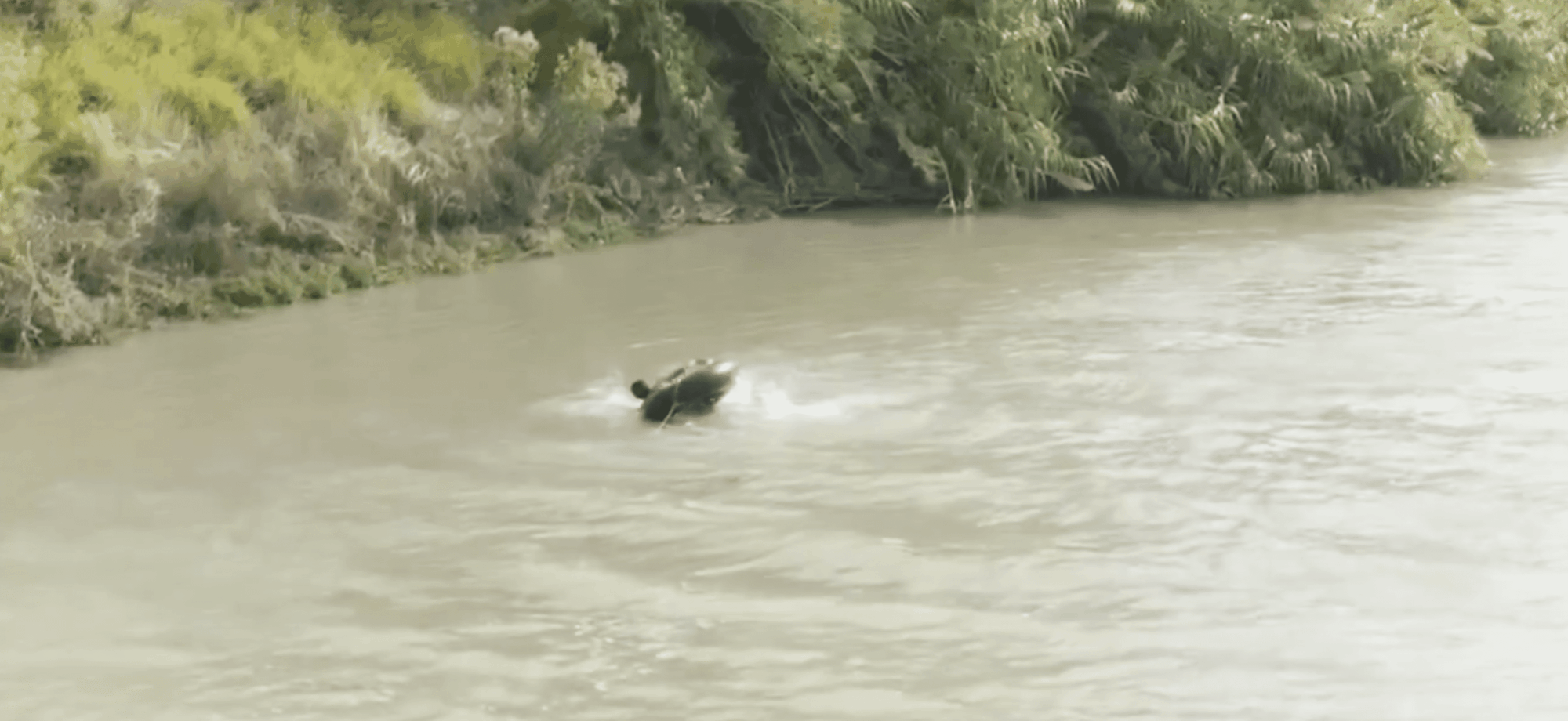 border crosser on boat